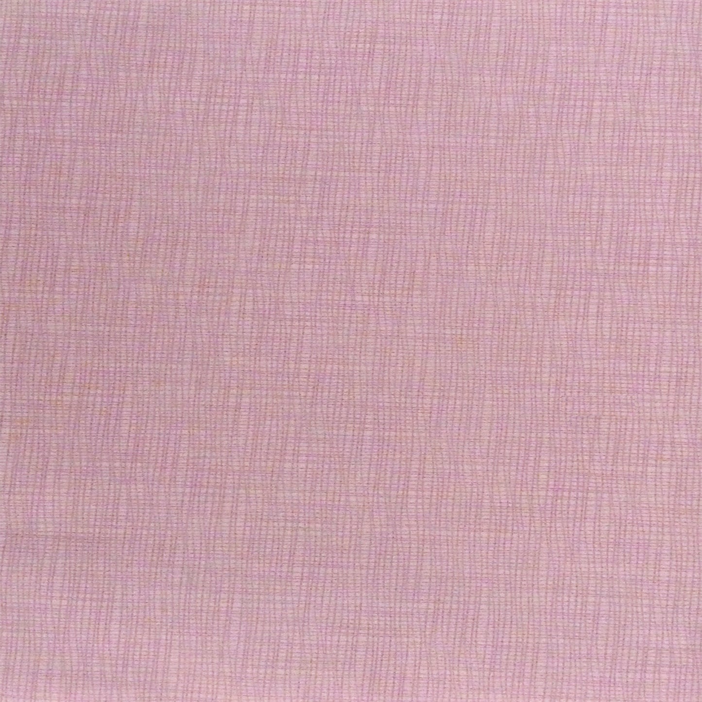 Lavander