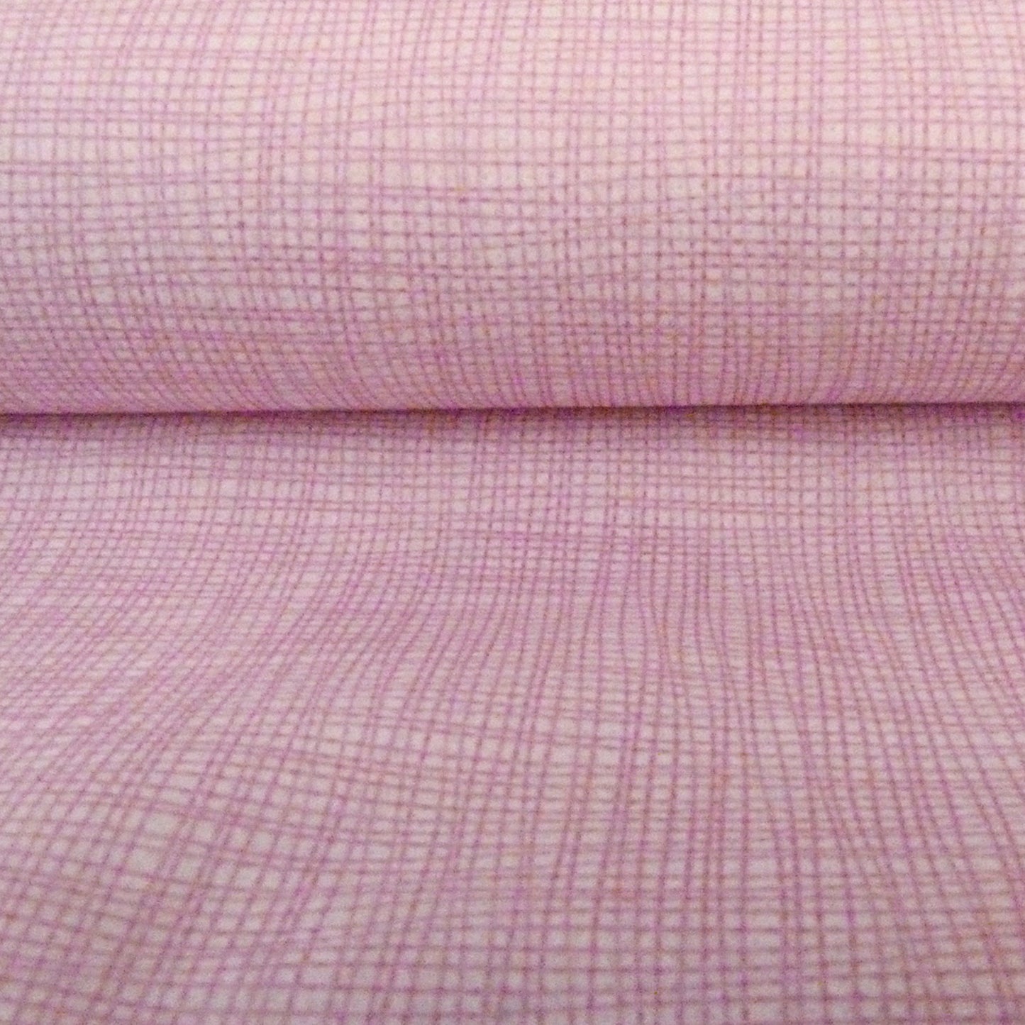 Lavander